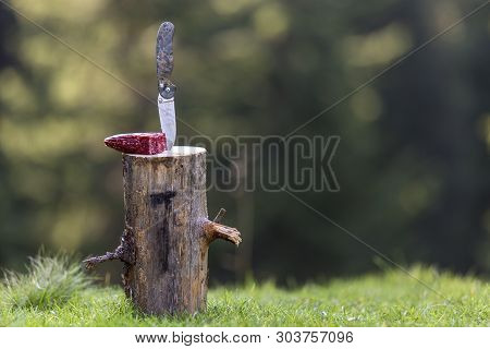 Close-up Of Folding Pocket Knife Stuck Vertically In Tree Stump And Piece Of Sausage Outdoors On Dar