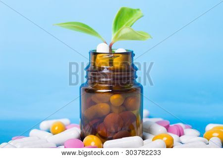 Medicine Herb. Herbal Pills With Healthy Medical Plant. Green Leaf, Alternative Drug. Vitamin Supple