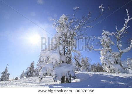 Ski Run