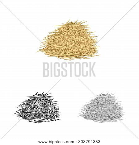 Vector Illustration Of Bagasse And Raw  Sign. Set Of Bagasse And Waste Stock Symbol For Web.