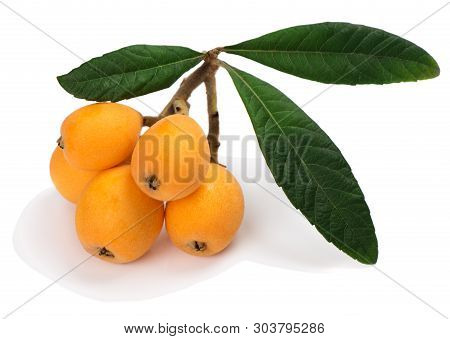 Loquat (l. Eriobotrya Japonica) Fruit With Green Leaves Isolated On A White Background.