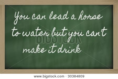 Expression -  You Can Lead A Horse To Water But You Can't Make It Drink - Written On A School Blackb