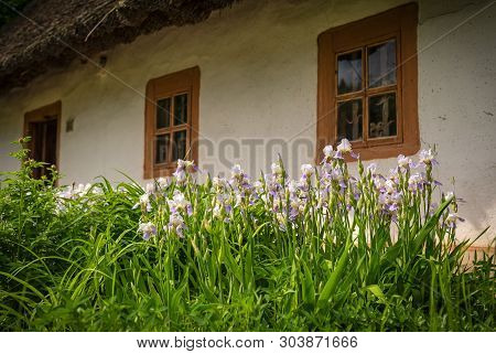 Old House In Traditional Ukrainian Country Village