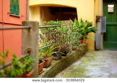 Beautiful Details On The Streets Of Riomaggiore, The Largest Of The Five Centuries-old Villages Of C