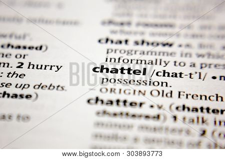 Word Or Phrase Chattel In A Dictionary.