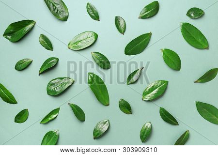 Spring Leaves Pattern On Green Background. Creative Layout. Top View. Flat Lay.