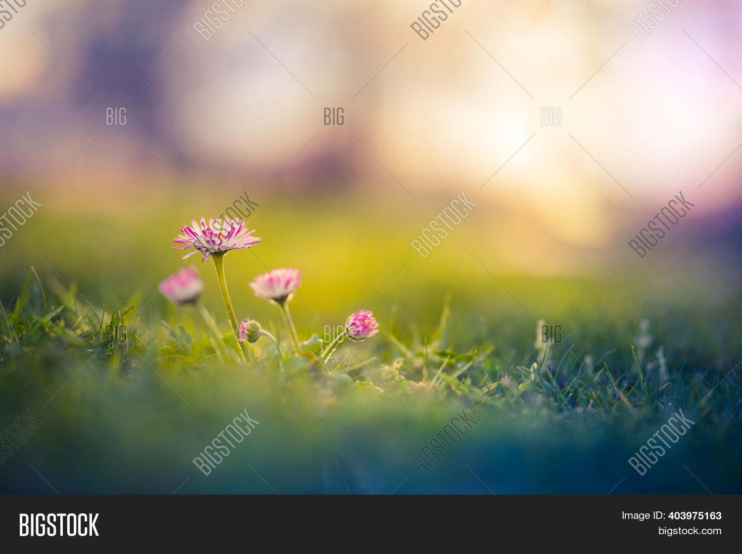 Floral Summer Spring Image & Photo (Free Trial) | Bigstock
