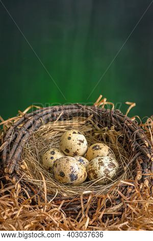 Little Fresh Quaileggs In A Nest On Dark Background.