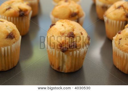 Cupcakes