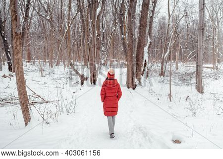 Winter nature walk woman walking in snowy forest trail outdoors. View from behind of woman in long red coat.