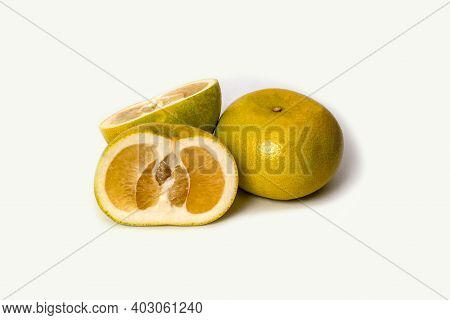 Citrus Sweety, Citrus Oroblanco Grapefruit Hybrid Pomelit