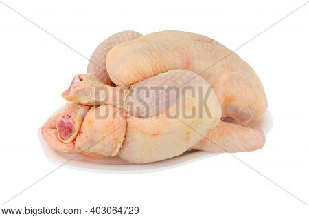 Fresh Raw Poussin Chicken Sometimes Called Spring Chicken Isolated On A White Background