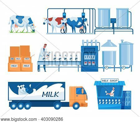 Milk Production Steps Set. Truck, Cows On Grass, Milking Machines, Worker At Conveyor With Bottles, 