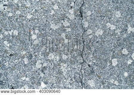 Abstract Old Beton Texture Wall With Moss Outdoor. Textured Grunge Background. High Quality Photo