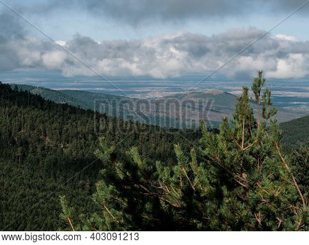 View From Navacerrada Of The Pine And Fir Forests Of The Mountains