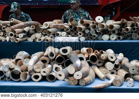 Bangkok ,thailand-august 26 , 2015 : Government Officials An Unknown Man Is Destroying The Seized Iv
