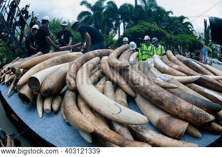 Bangkok ,thailand-august 26 , 2015 : Government Officials An Unknown Man Is Destroying The Seized Iv