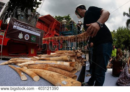 Bangkok ,thailand-august 26 , 2015 : Government Officials An Unknown Man Is Destroying The Seized Iv