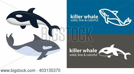 Orca Killer Isolated Vector Icon. Sea Line Solid Flat Icon