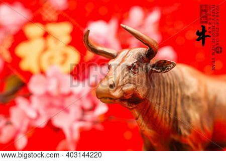 2021 is year of the ox,Chinese characters on rightside chinese wording and seal mean:Chinese calendar for the year.characters on leftside translation: good bless for new year.
