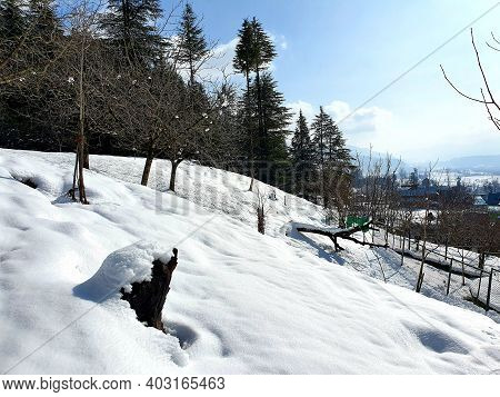 Heavy Snow Fall In Kashmir Made Whole Valley White.
