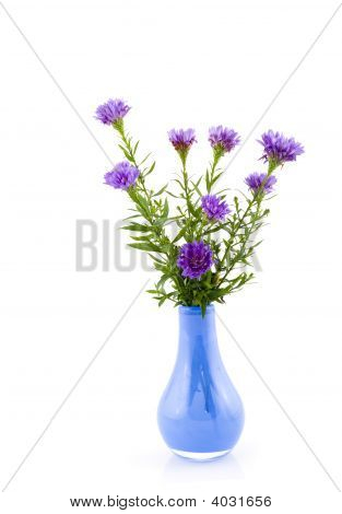 Vaso blu con Asters viola