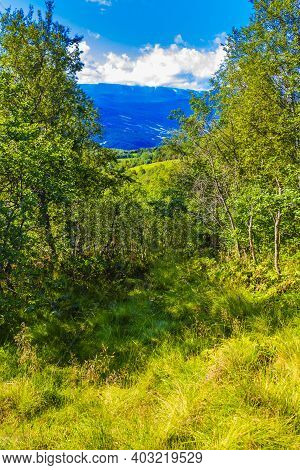 Mountain And Forest Landscape Panorama At Sunny Day Vang Norway.