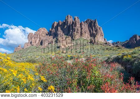 An Overlooking View Of Nature In Lost Dutchman Sp, Arizona