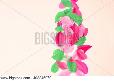 Colored Feathers On Colorful Background