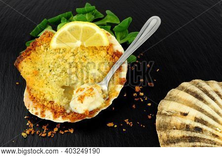 Coquille St Jacques Scallop Shellfish Filled With White Wine And Cheese Cream Sauce, Topped With Bre