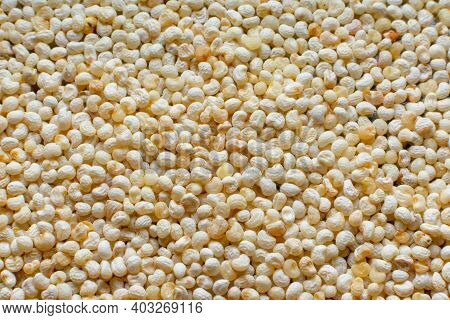Close Up Of Poppy Seeds For Background.