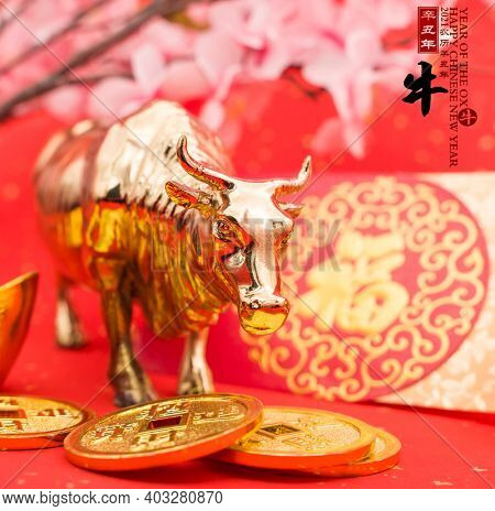 Tradition Chinese 2021 is year of the ox,Chinese characters on rightside mean chinese wording and seal mean:Chinese calendar for the year.leftside and gold ingot translation:good bless for money.