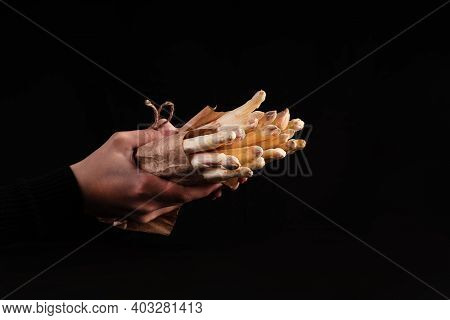 Closeup Of White Asparagus In Women Hands On Black Background.white Asparagus Wrapped In Paper.fresh