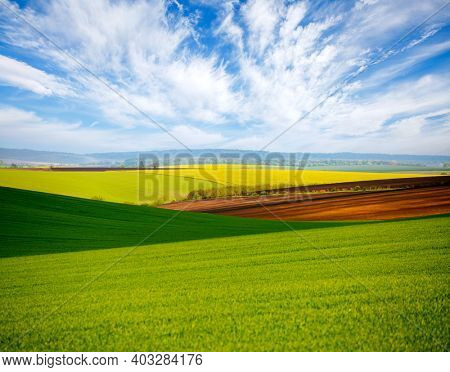 Scenic view of green rural land and cultivated fields. Location place of Ukrainian agricultural region, Europe. Ecology concept. Agrarian industry. Photo wallpaper. Discover the beauty of earth.
