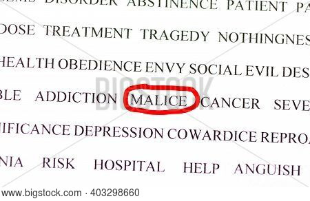A Set Of Words Related To Malice. Social Life, Emotions, Feelings And Habits
