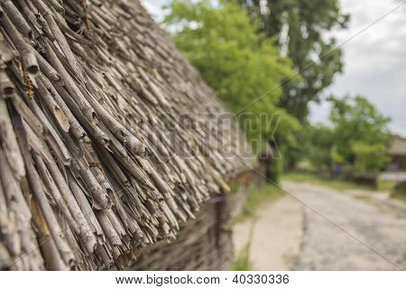 thatch