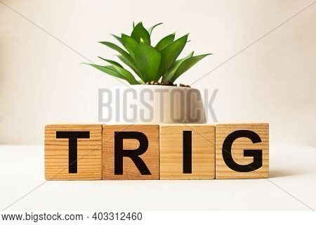 Wooden Cubes With Text Trig. The Medicine. Medical Concept