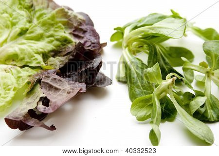 Fieldsalad ja salaattia