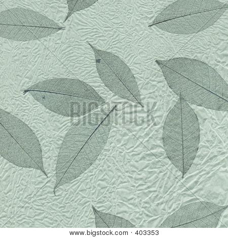 Blad Design i grøn