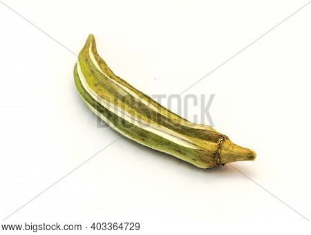 Matured And Dried Okra Pod For Saving Seeds Studio Shot Isolated On White Background