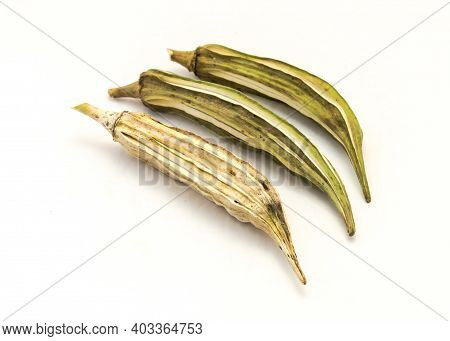 Three Matured And Dried Okra Pod For Saving Seeds Studio Shot Isolated On White Background