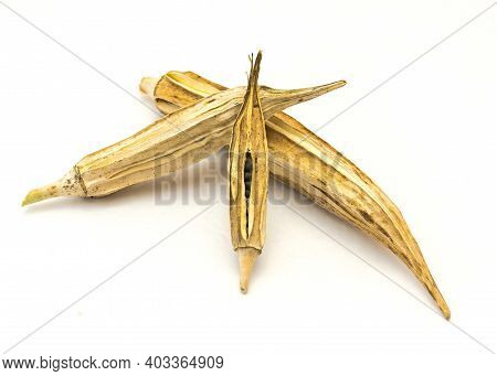 Three Matured And Dried Okra Pod For Saving Seeds Studio Shot Isolated On White Background