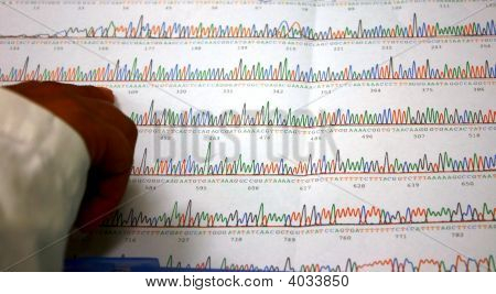 Sequence