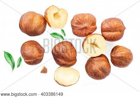 Hazelnuts With Leaves  Isolated On White Background. Hazelnut Macro.  Food Creative Layout