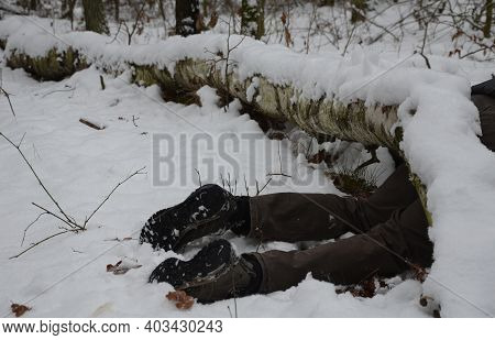 Dead Man Covered With A Tree. The Tree Turned Upside Down And Killed, Fell On A Tourist, A Forest Wo
