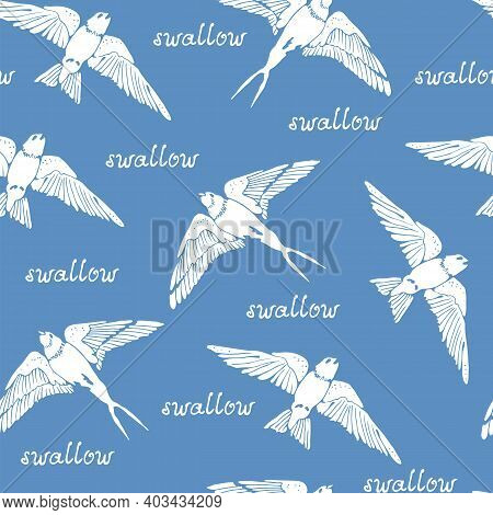 Swallow And House Martin Birds Vector Pattern, Hand Drawn Seamless Background