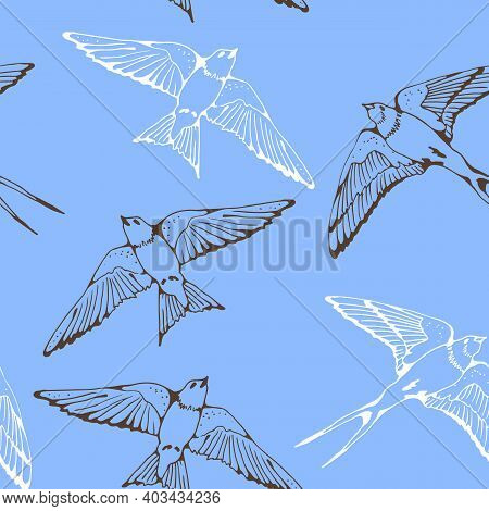 Swallow And House Martin Birds Vector Pattern, Hand Drawn Seamless Background
