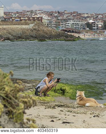 Bulgaria, Sozopol - 2018, 06 September: A Woman Photographs A Dog On A Rocky Beach, Blurred Backgrou