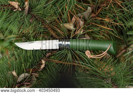 French Knife With A Wooden Handle. Pocket Knife With A Wooden Handle.