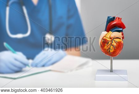 Anatomical Model Of Human Heart On Doctor Table In A Cardiology Office. In The Background, A Cardiol